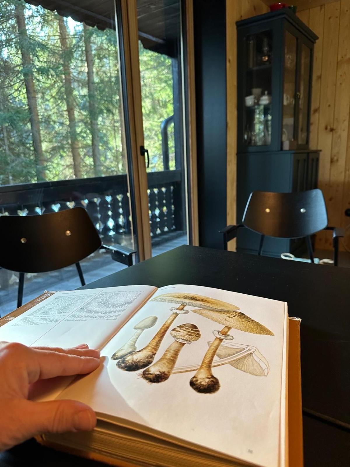 Cosy Lodge Pokljuka Goreljek Eksteriør bilde