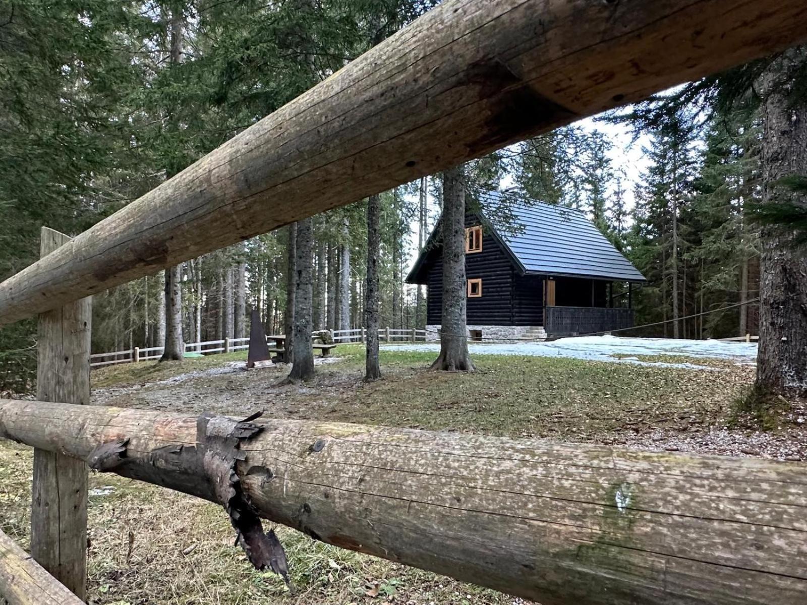 Cosy Lodge Pokljuka Goreljek Eksteriør bilde