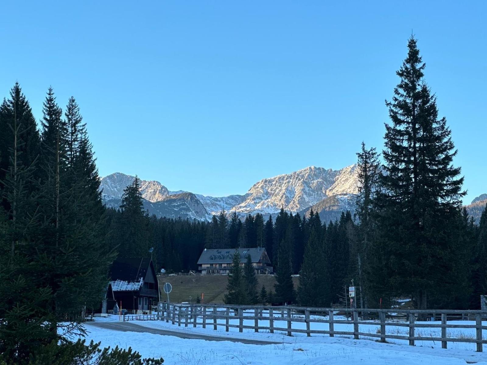Cosy Lodge Pokljuka Goreljek Eksteriør bilde