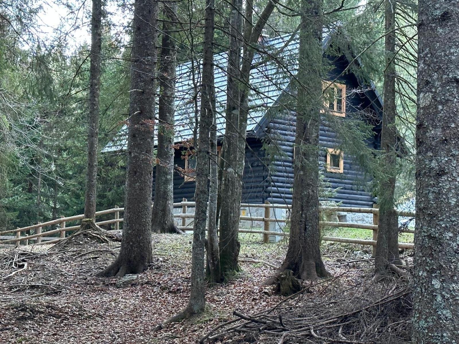 Cosy Lodge Pokljuka Goreljek Eksteriør bilde