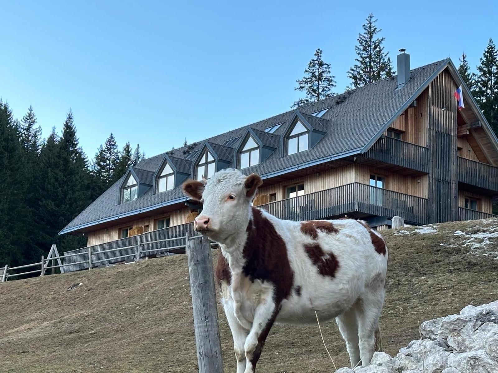 Cosy Lodge Pokljuka Goreljek Eksteriør bilde