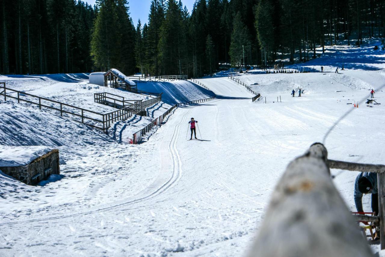 Cosy Lodge Pokljuka Goreljek Eksteriør bilde