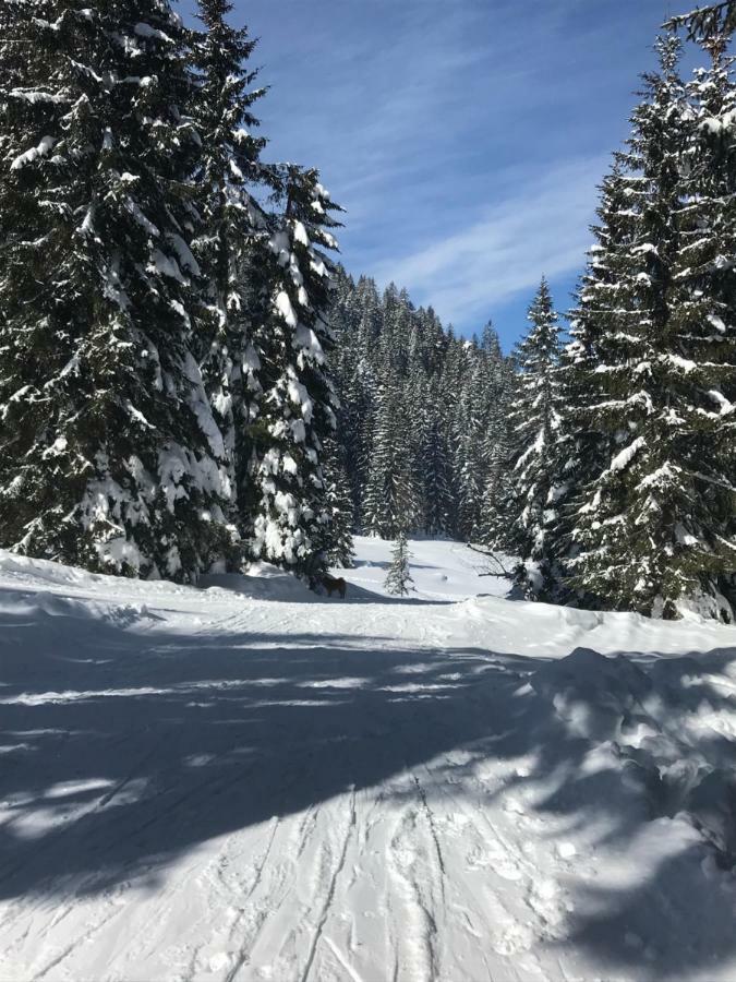 Cosy Lodge Pokljuka Goreljek Eksteriør bilde